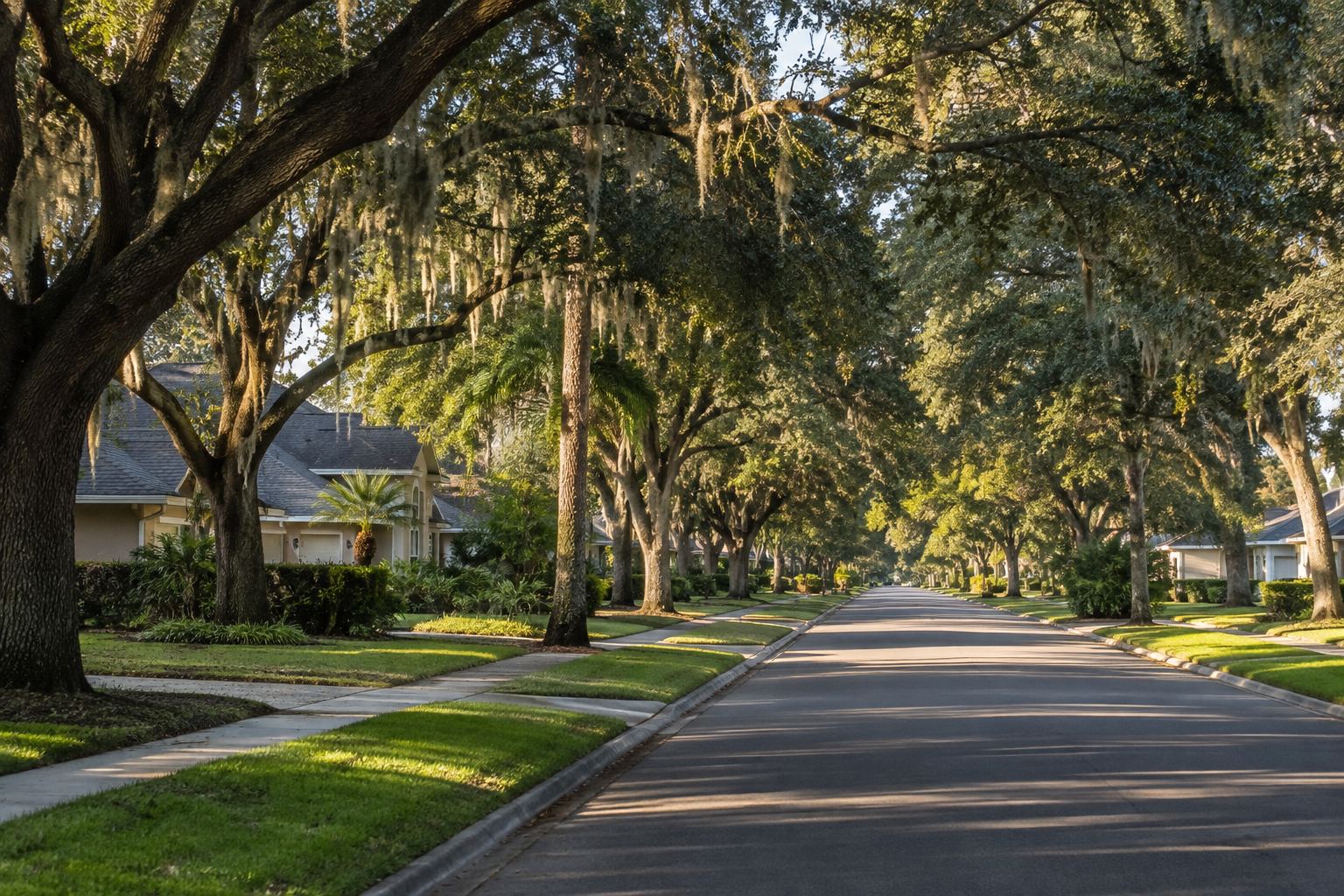 A tree lined Orange Park, Florida street, illustrative